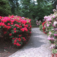 Beeld in het Victoria Park