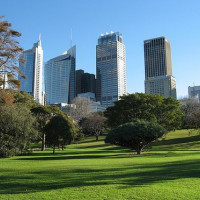 Wolkenkrabbers naast de Royal Botanic Gardens