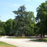 Bomen in de Giardini Pubblici