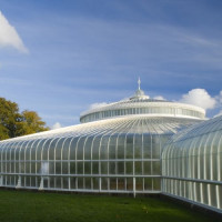 Kas in de Glasgow Botanic Gardens