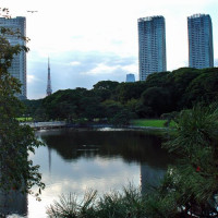 Vijver in de Hama Rikyu tuin