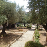 Zicht op de Hof van Getsemane