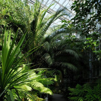 Hortus Botanicus Amsterdam