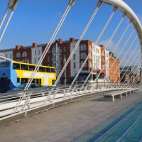 Structuur van de James Joyce Bridge