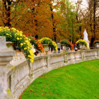 Bloemen in de Jardin du Luxembourg