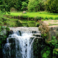 Waterval in Jesmond Dene