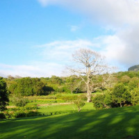 Zicht over het Kirstenbosch