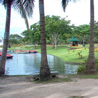 Bomen en vijver in het Koninklijk Rama IX park