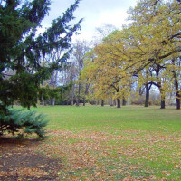 Grasveld in het Letnápark