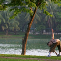 Sporten in het Lumphinipark