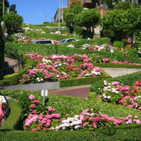 Voertuigen op Lombard Street