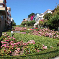 Bloemenperken in San Francisco