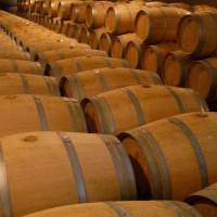 Wijnvaten in Bordeaux