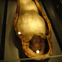 Mummie in Luxor