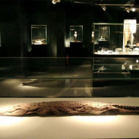 Krokodil in het Mummificatiemuseum