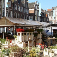 Plantenkraam op de Nieuwmarkt