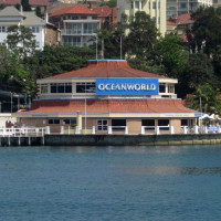 Oceanworld Manly