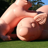 Opblaasbare varkens in het Openluchtmuseum