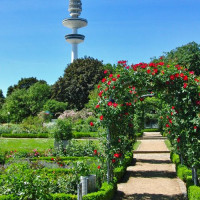 Park in Hamburg