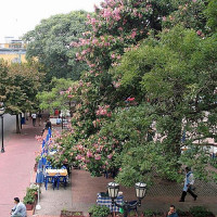 Zicht op de Plaza Dorrego