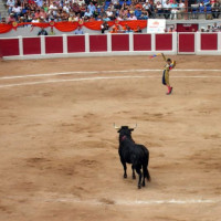 Stierenvechter in Valencia