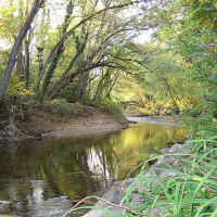 In het Rock Creek Park