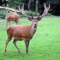 Dortmund Tierpark