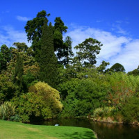 Meertje in de Royal Botanic Gardens