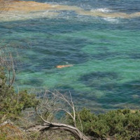 Water in het Royal National Park