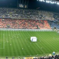 Grasmat van het San Siro-stadion