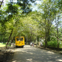 Bus in het Sanjay Gandhi National Park