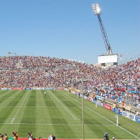 Grasmat van het Stade Vélodrome