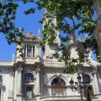 Bomen voor het stadhuis