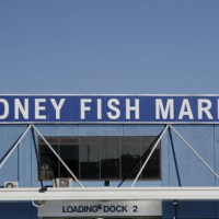 Naambord van de Sydney Fish Market