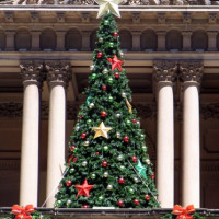 Kerstboom aan Sydney Town Hall