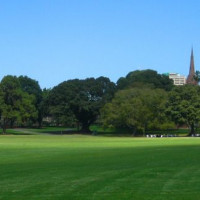 Grasveld in Sydney