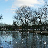 Vogels op The Lough