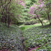 Planten in het Parque de El Capricho