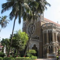 Palmbomen aan de Universiteit van Mumbai