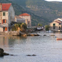 Vis bij Split