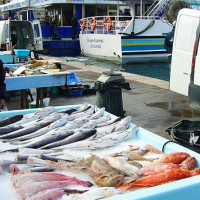 Beeld van de Vismarkt van Marseille