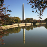 Obelisk in Washington