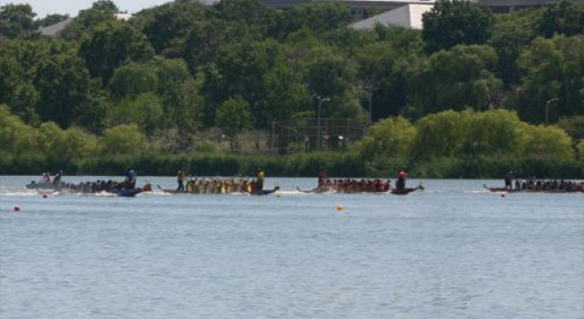 Dragon Boat Festival (Tuen Ng)