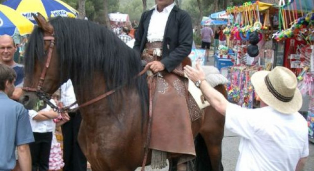 Fiestas de los Patrones de la ciudad de Málaga