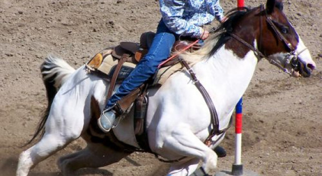 Wrangler National Finals Rodeo