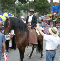 Fiestas de los Patrones de la ciudad de Málaga