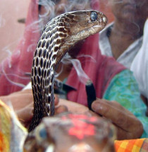 Nag Panchami