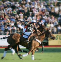 Argentinian Open Polo Tournament