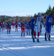 Vasaloppet Ski Race