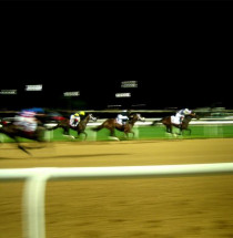 Dubai World Cup